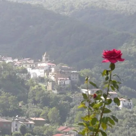 La Casa Del Nonno